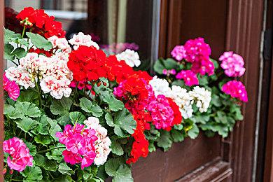 《黑暗之魂：重制版》画质MOD 所有武器升至4K